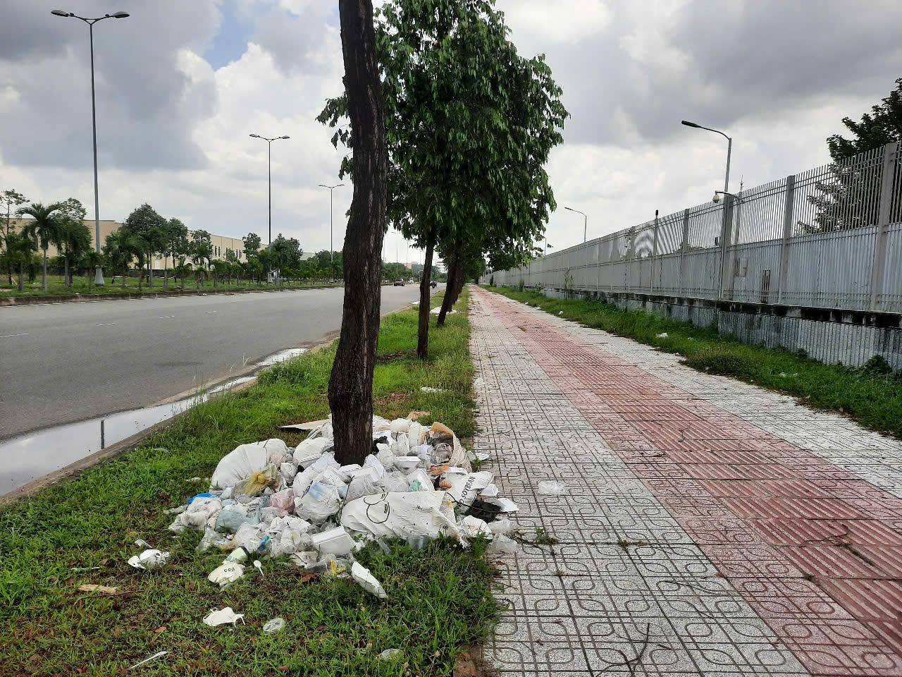 R&aacute;c ngập ngụa, h&ocirc;i thối ở Khu C&ocirc;ng nghệ cao TP HCM, 2 th&aacute;ng chưa thấy xử l&yacute;- Ảnh 3.
