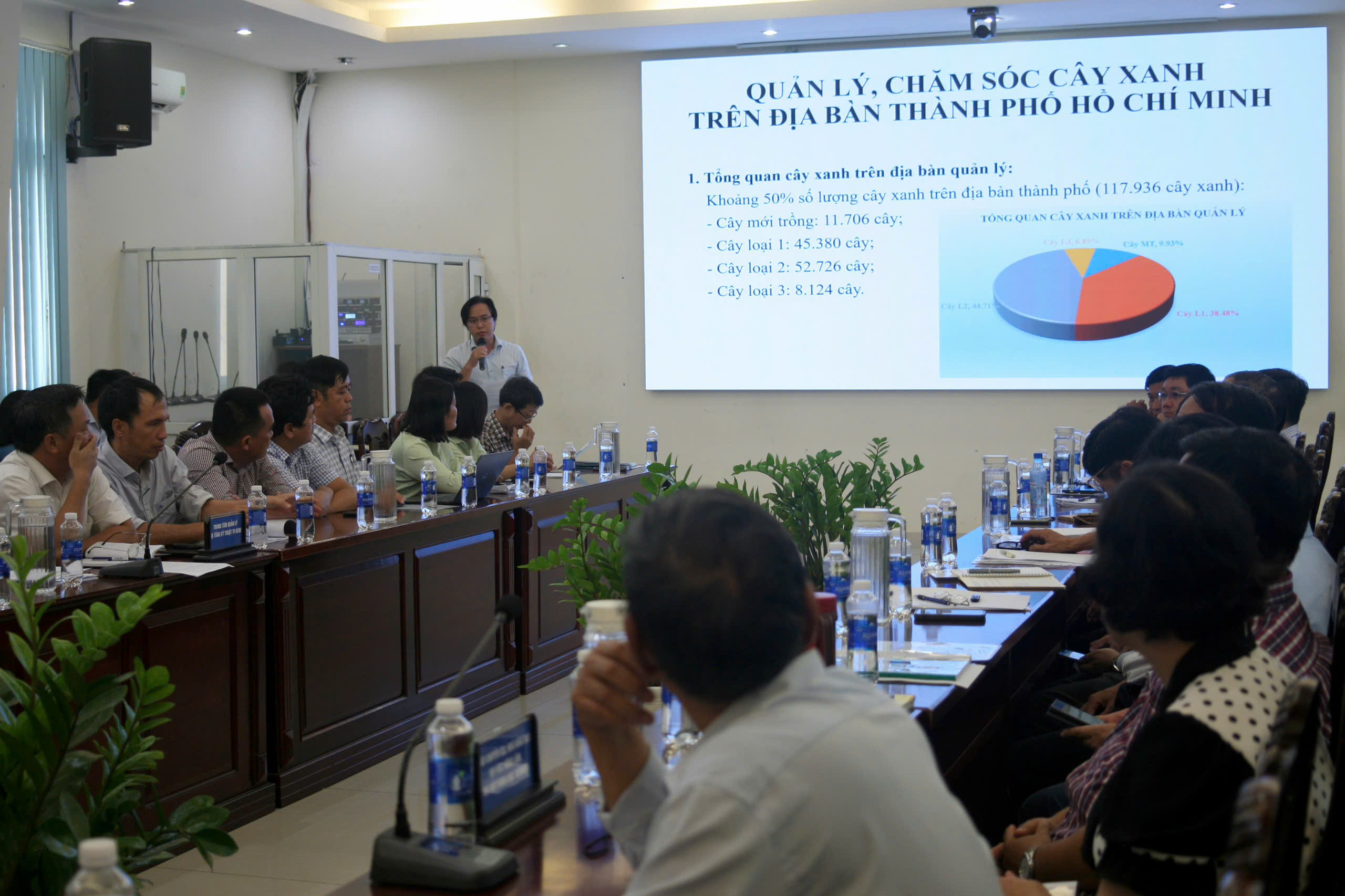 Quản l&yacute; c&acirc;y xanh TP HCM: Cần c&acirc;n bằng giữa an to&agrave;n v&agrave; bảo tồn - Ảnh 3.