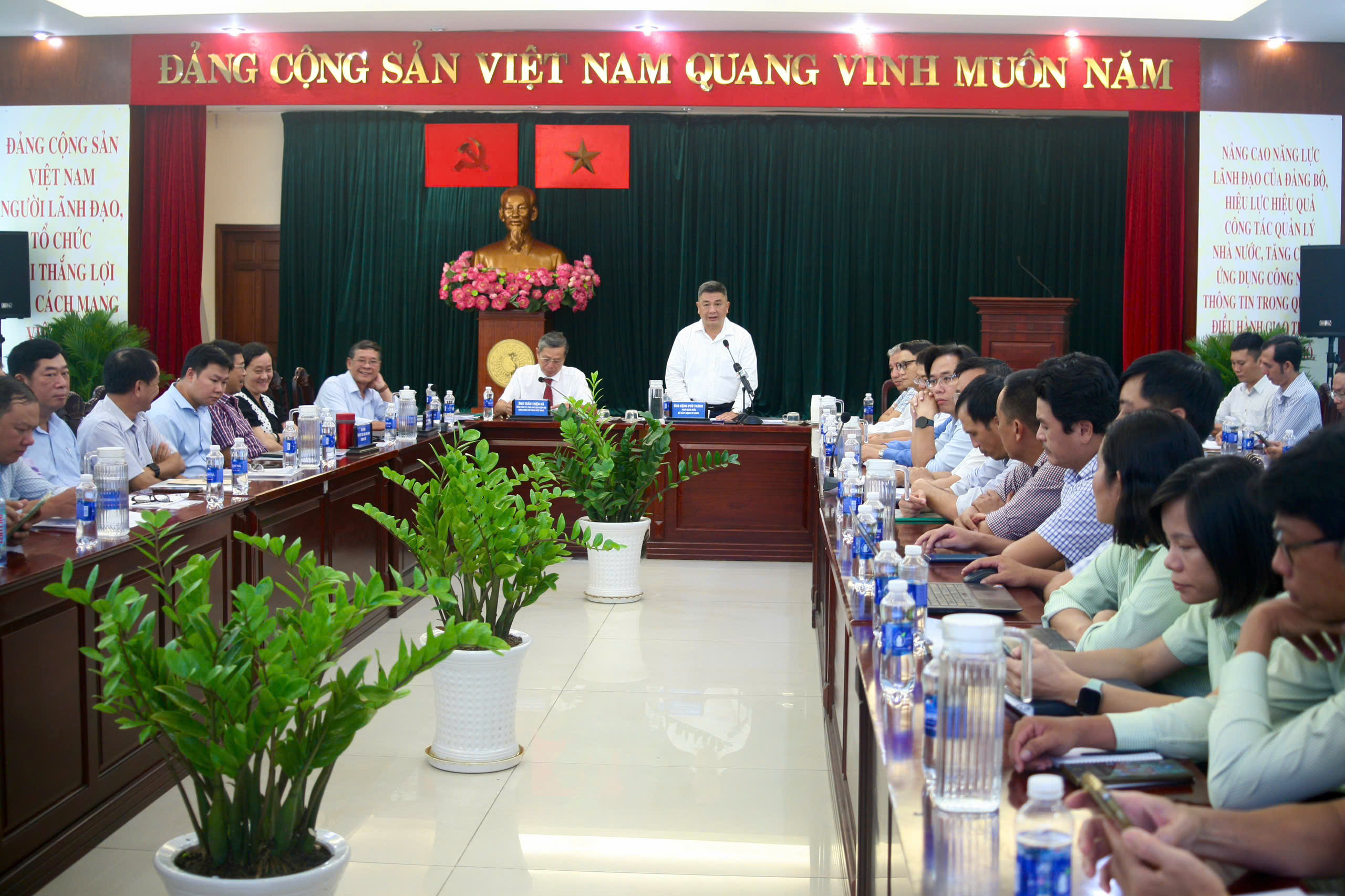 Quản l&yacute; c&acirc;y xanh TP HCM: Cần c&acirc;n bằng giữa an to&agrave;n v&agrave; bảo tồn - Ảnh 1.