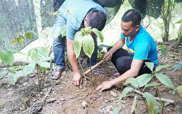 Công an đề nghị cung cấp hồ sơ hai nhiệm vụ khoa học "chết yểu"