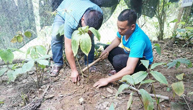Công an đề nghị cung cấp hồ sơ hai nhiệm vụ khoa học "chết yểu"- Ảnh 2.
