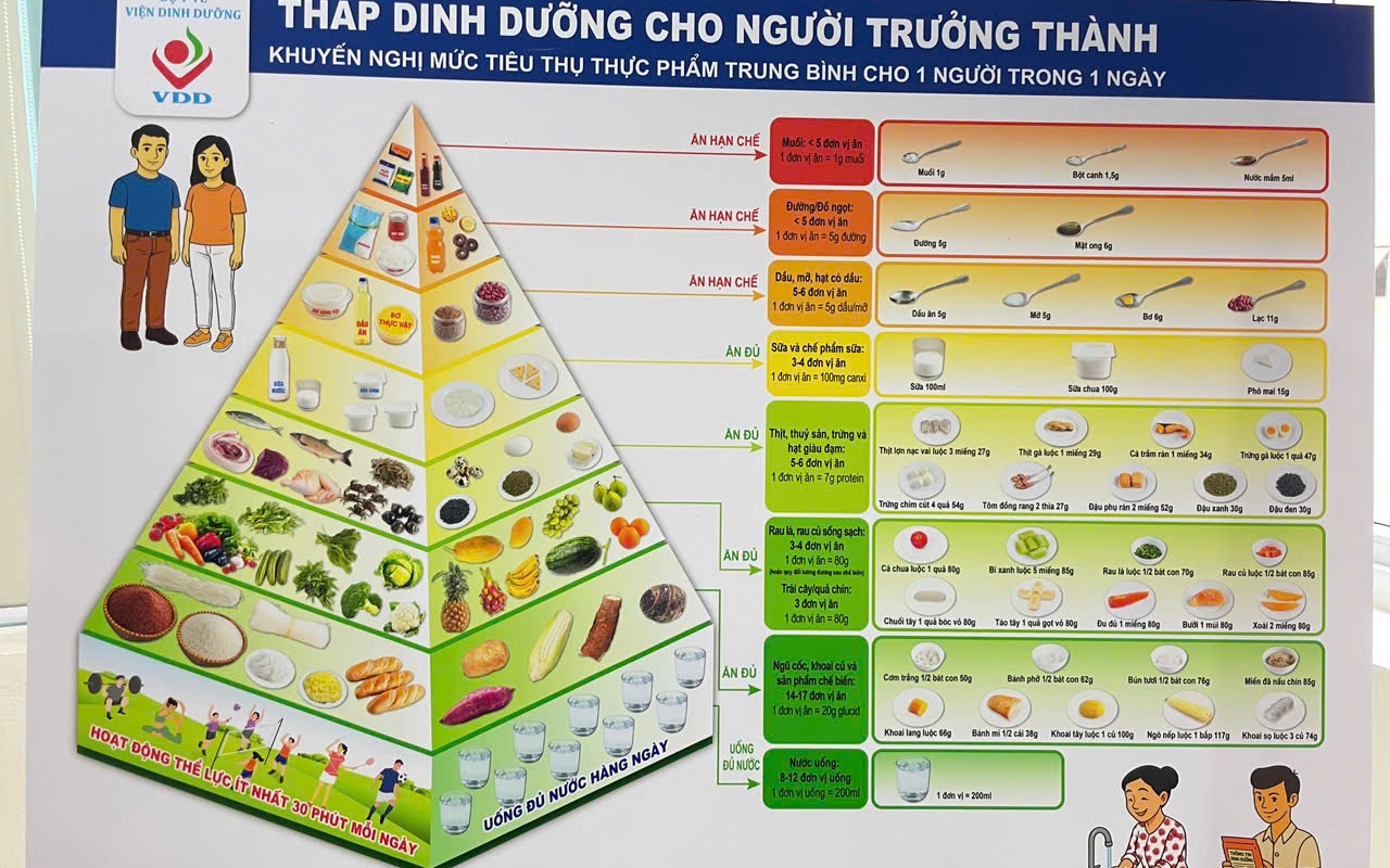 Việt Nam có 7 tháp dinh dưỡng theo nhóm tuổi