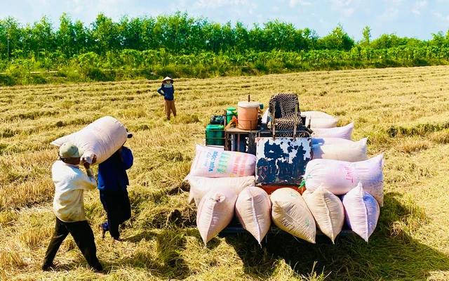 Thoát khỏi vòng luẩn quẩn