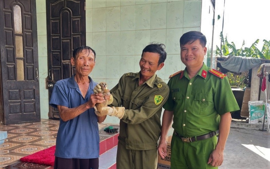 Linh trưởng Sách đỏ bất ngờ "ghé thăm" vườn nhà người dân ở Quảng Bình