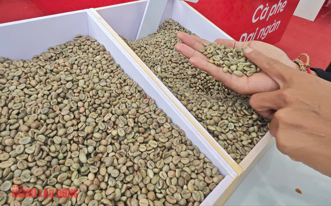 Gi&aacute; c&agrave; ph&ecirc; h&ocirc;m nay 1-7: Giảm tiếp, tương lai thế n&agrave;o?- Ảnh 1.