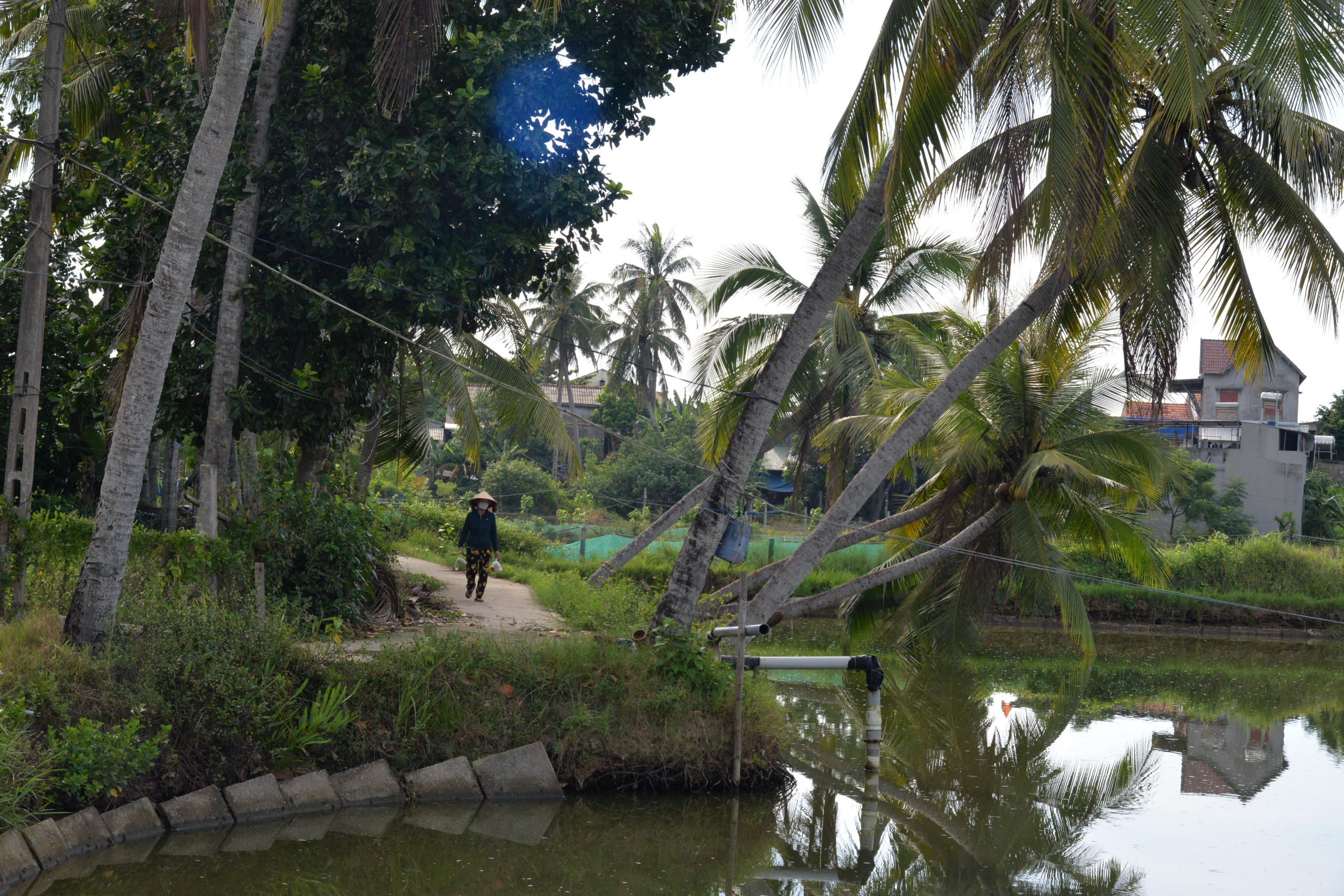 L&agrave;ng "c&ocirc; đơn" b&ecirc;n cửa biển Cửa Lở- Ảnh 2.