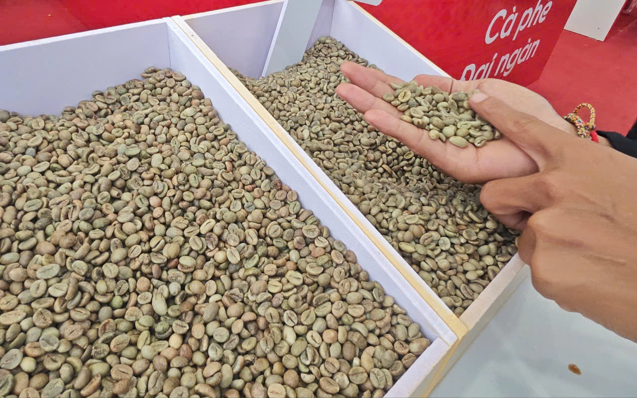Giá cà phê hôm nay 1-7: Giảm tiếp, tương lai thế nào?