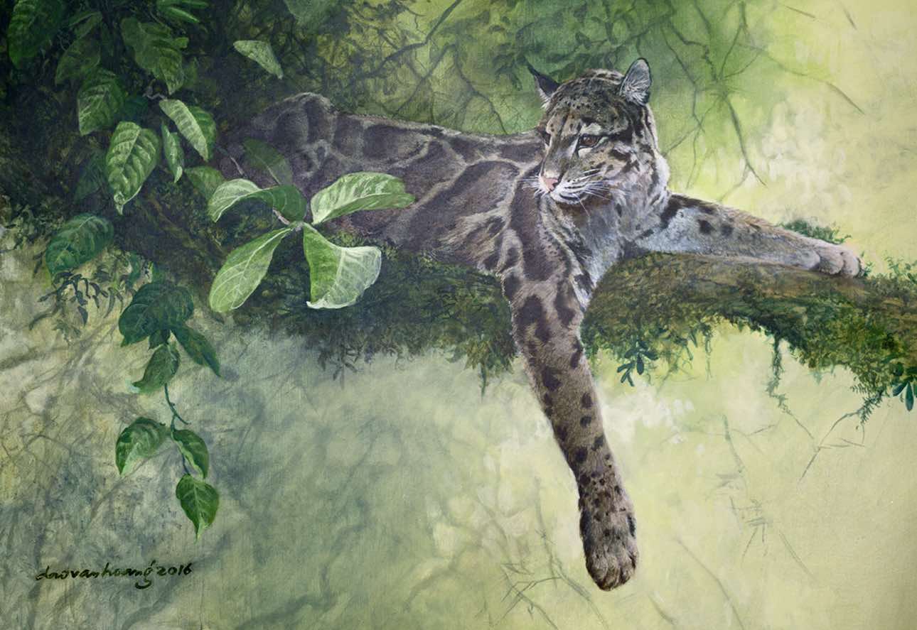 Họa sĩ của "Nghệ thuật hoang dã"- Ảnh 2.