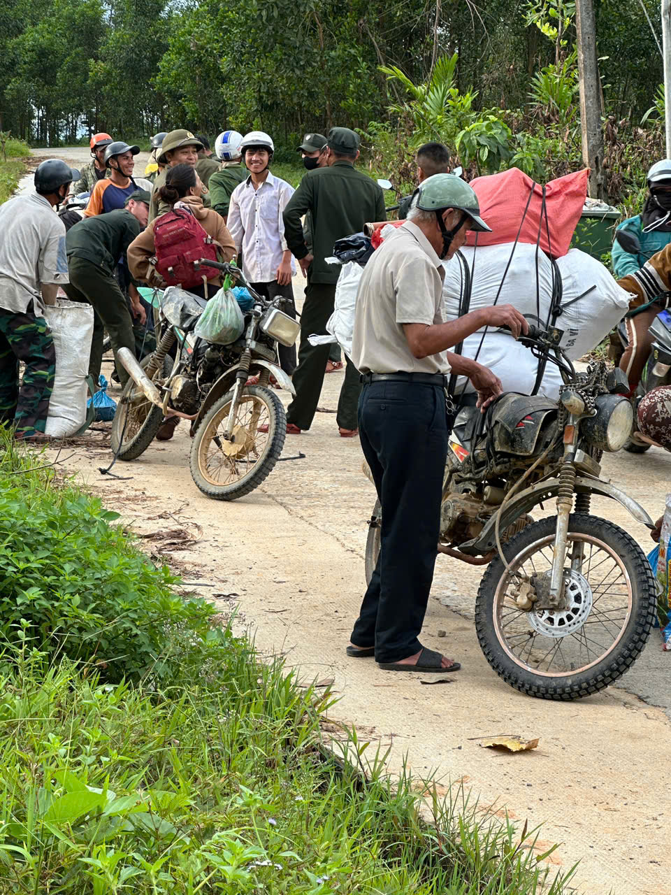 Cả ng&agrave;n người ở Đ&agrave; Nẵng v&agrave;o rừng nhặt thứ hạt rơi từ tr&ecirc;n trời xuống, thu tiền triệu- Ảnh 3.