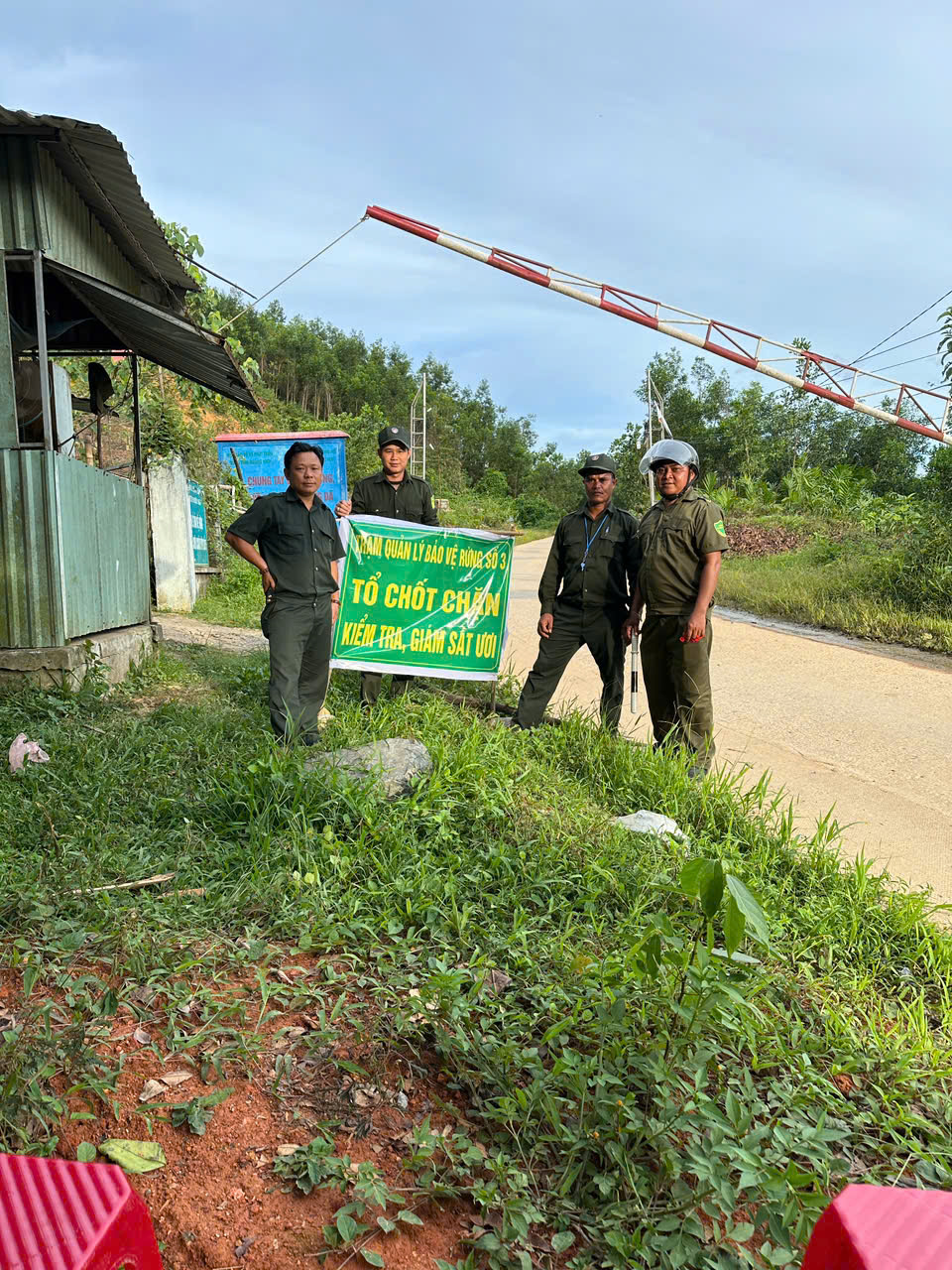Cả ng&agrave;n người ở Đ&agrave; Nẵng v&agrave;o rừng nhặt thứ hạt rơi từ tr&ecirc;n trời xuống, thu tiền triệu- Ảnh 13.