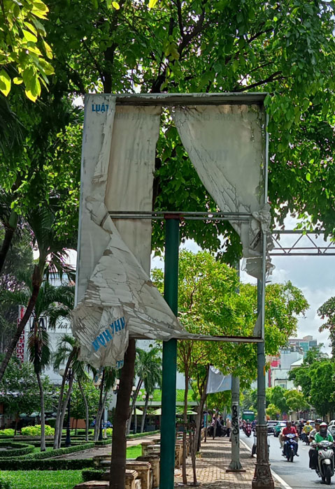 Nhếch nhác- Ảnh 1.