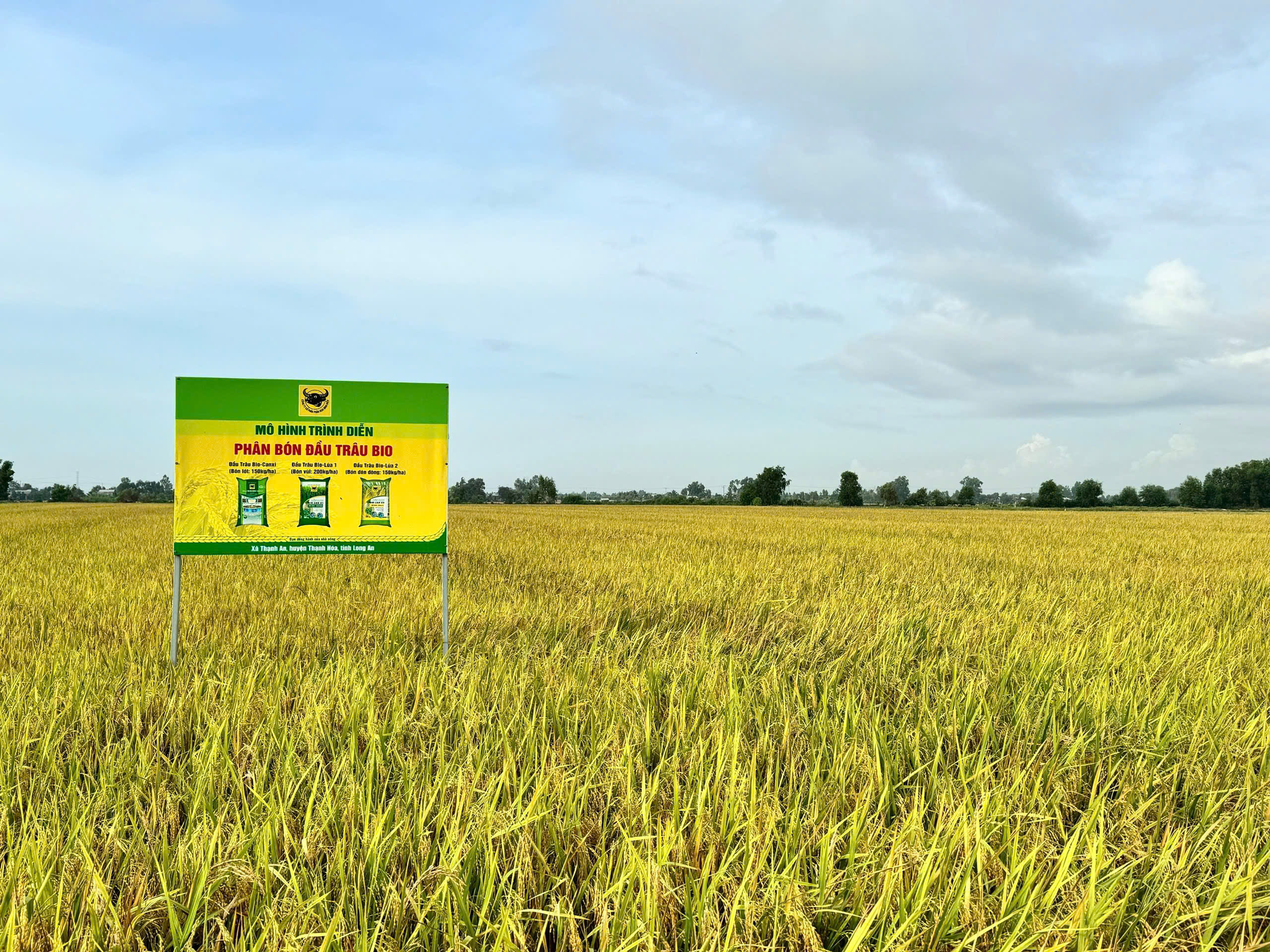 Giải m&atilde; cặp đ&ocirc;i &ldquo;Bio v&agrave; Canxi&rdquo; &ndash; ch&igrave;a kh&oacute;a cho canh t&aacute;c l&uacute;a bền vững ở ĐBSCL- Ảnh 3.