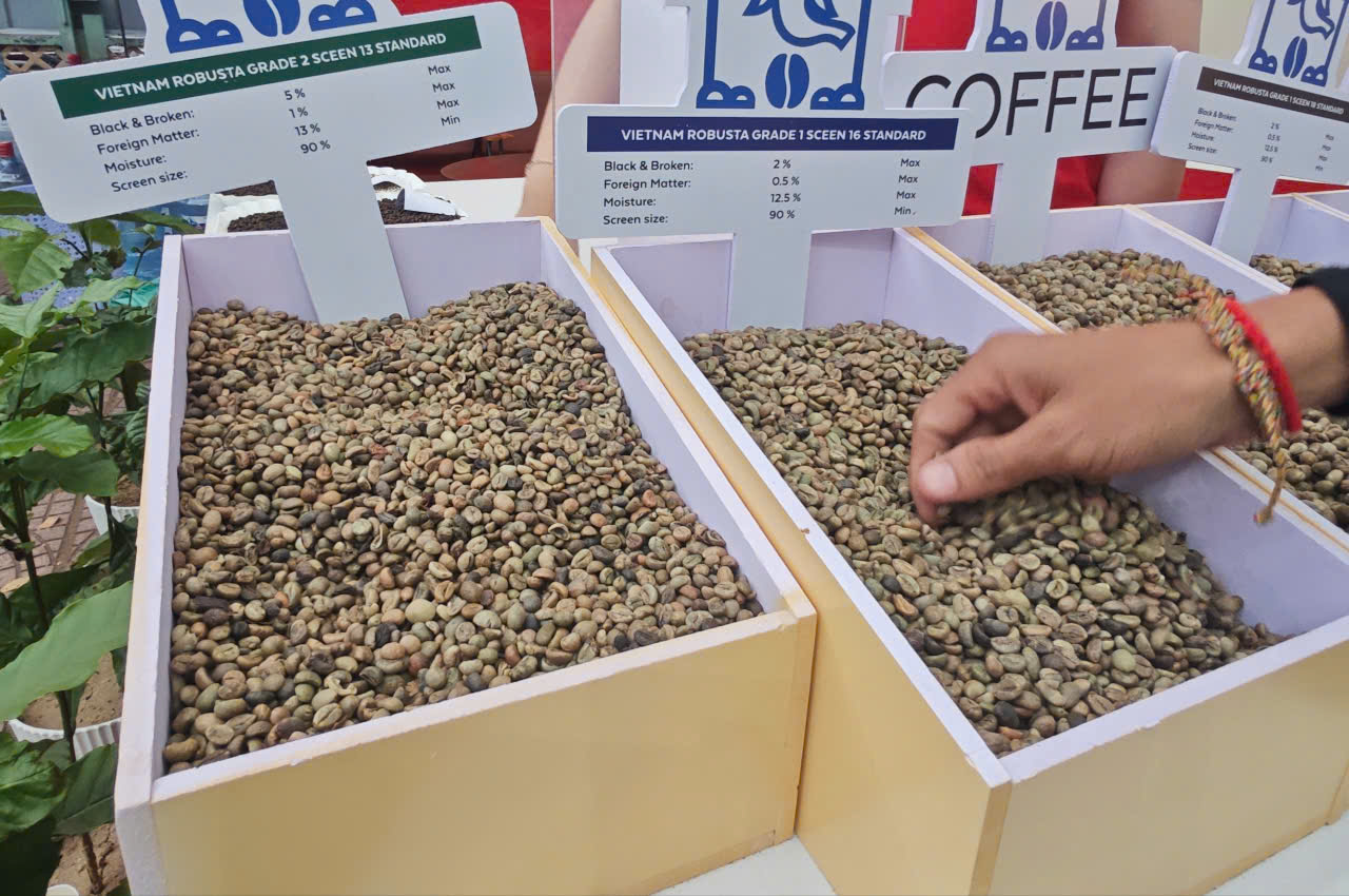 Giá cà phê hôm nay 16-7: Đảo chiều vội vàng do đâu?- Ảnh 1.