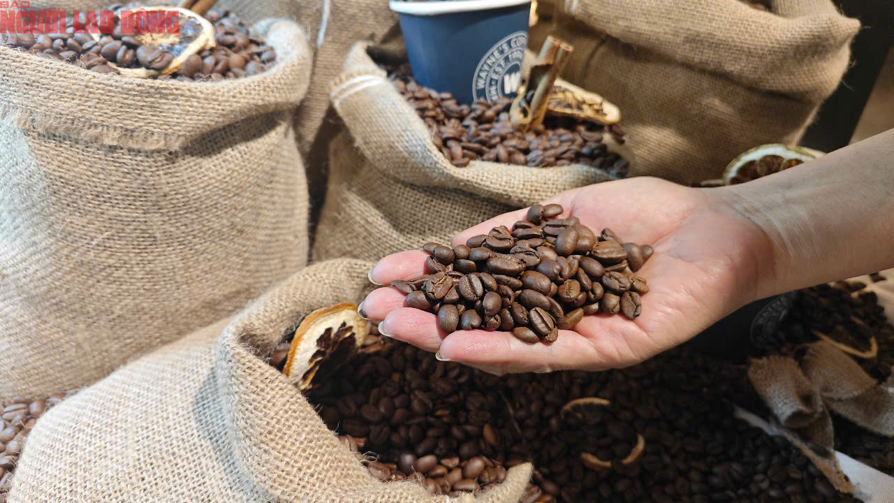 Gi&aacute; c&agrave; ph&ecirc; h&ocirc;m nay 17-7: Quay đầu tăng nhưng tương lai c&oacute; thể chỉ 80.000 đồng/kg- Ảnh 1.