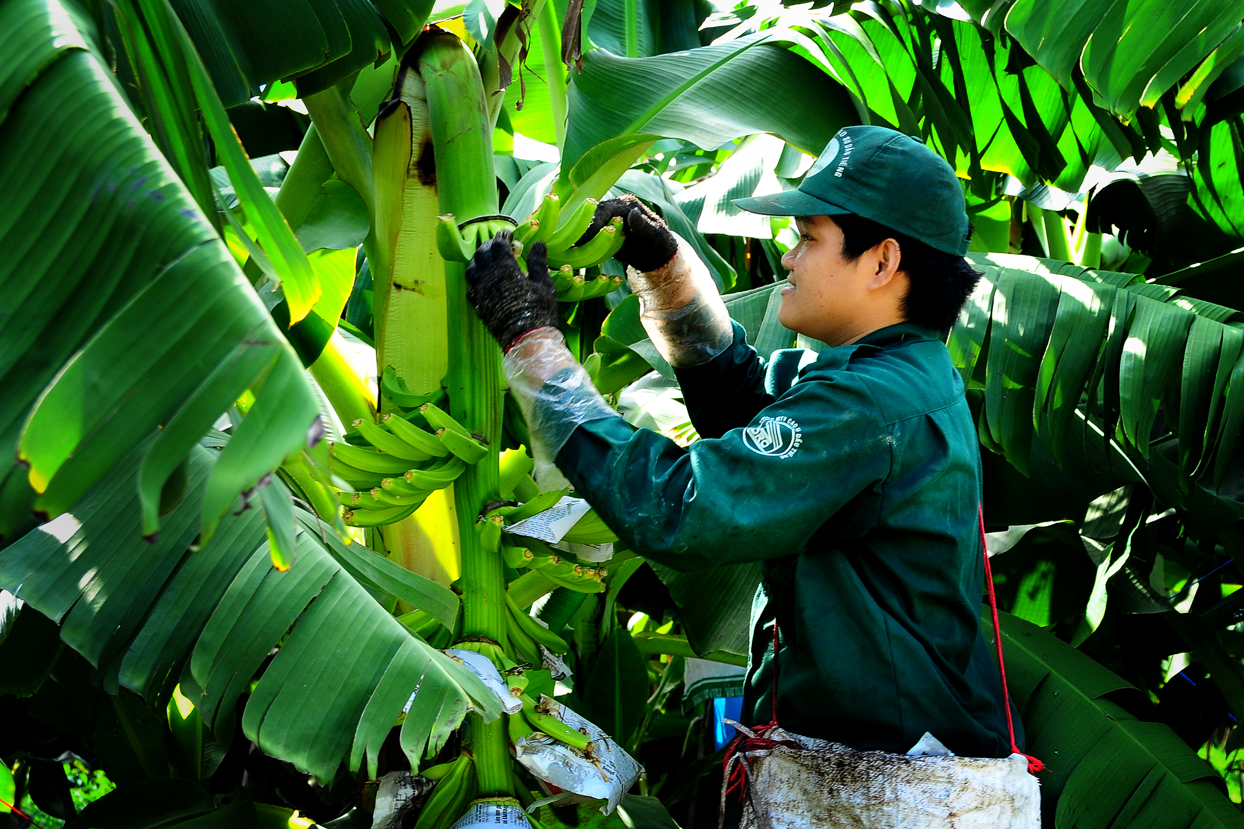 VRG và mục tiêu tăng trưởng 2 con số- Ảnh 7.