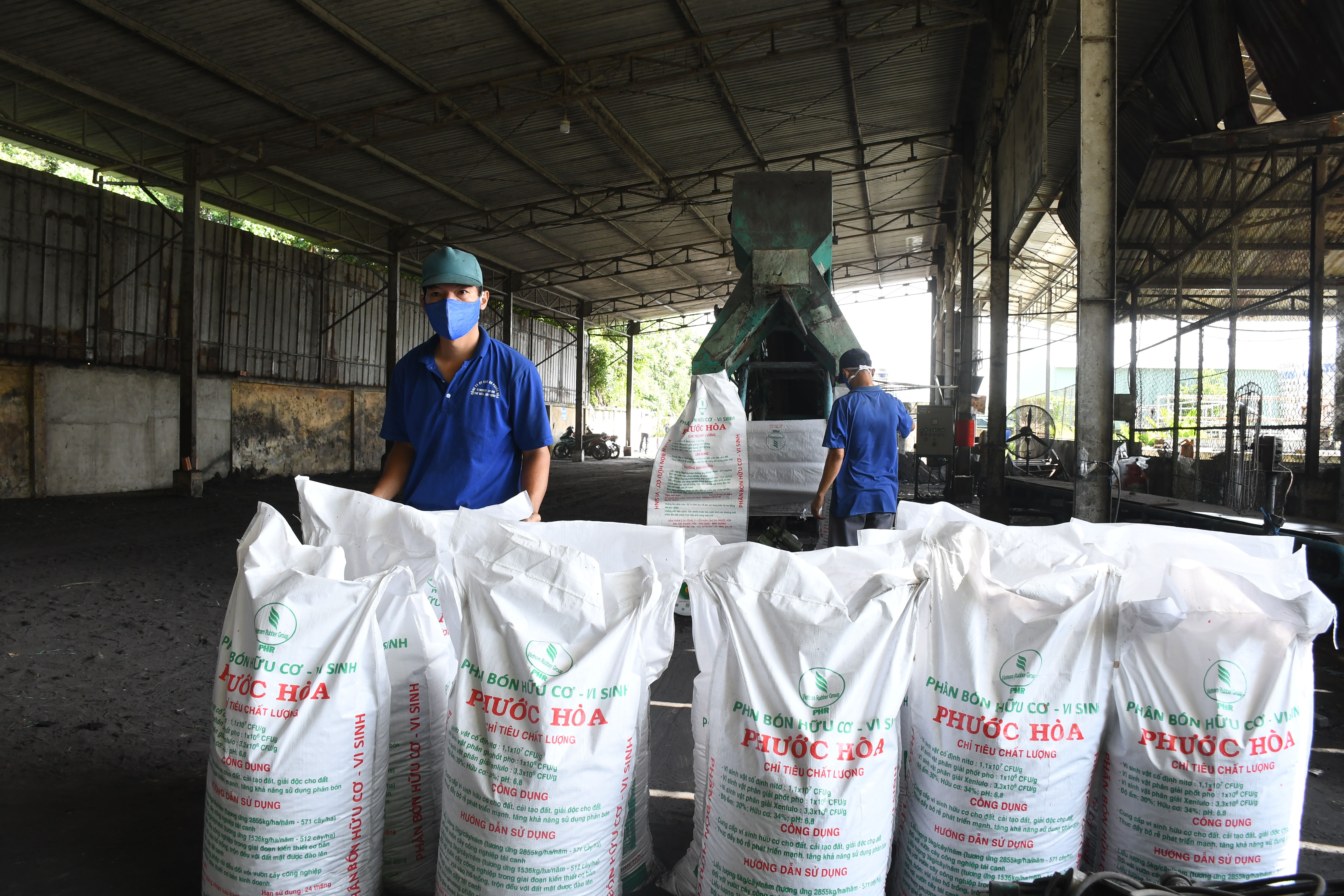 Những bước đi chiến lược của ngành cao su trong phát triển bền vững - Ảnh 3.