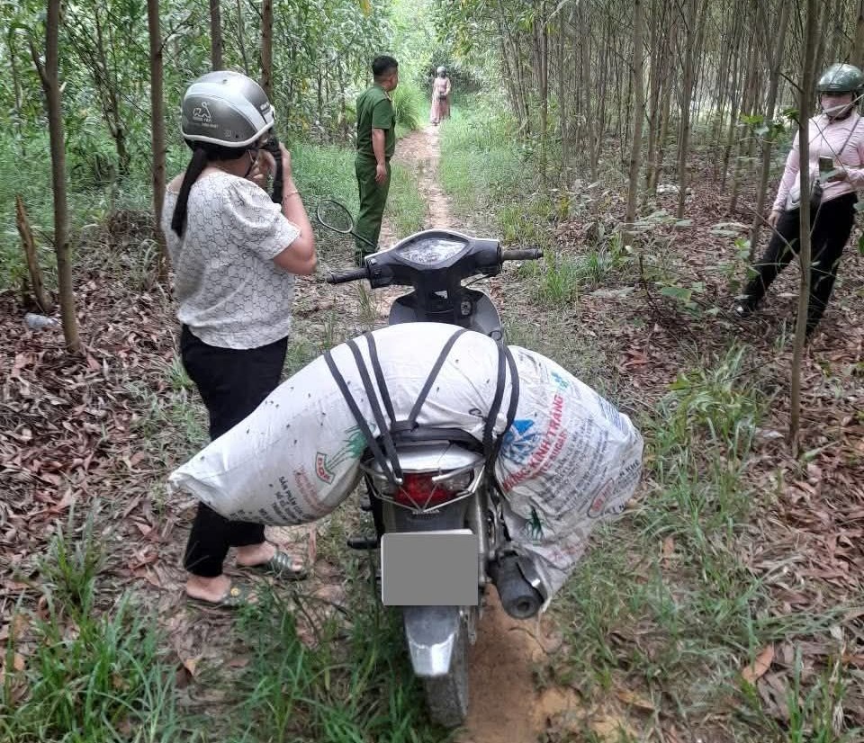 H&atilde;i h&ugrave;ng cảnh heo chết v&igrave; bệnh dịch tả vứt đầy k&ecirc;nh- Ảnh 7.