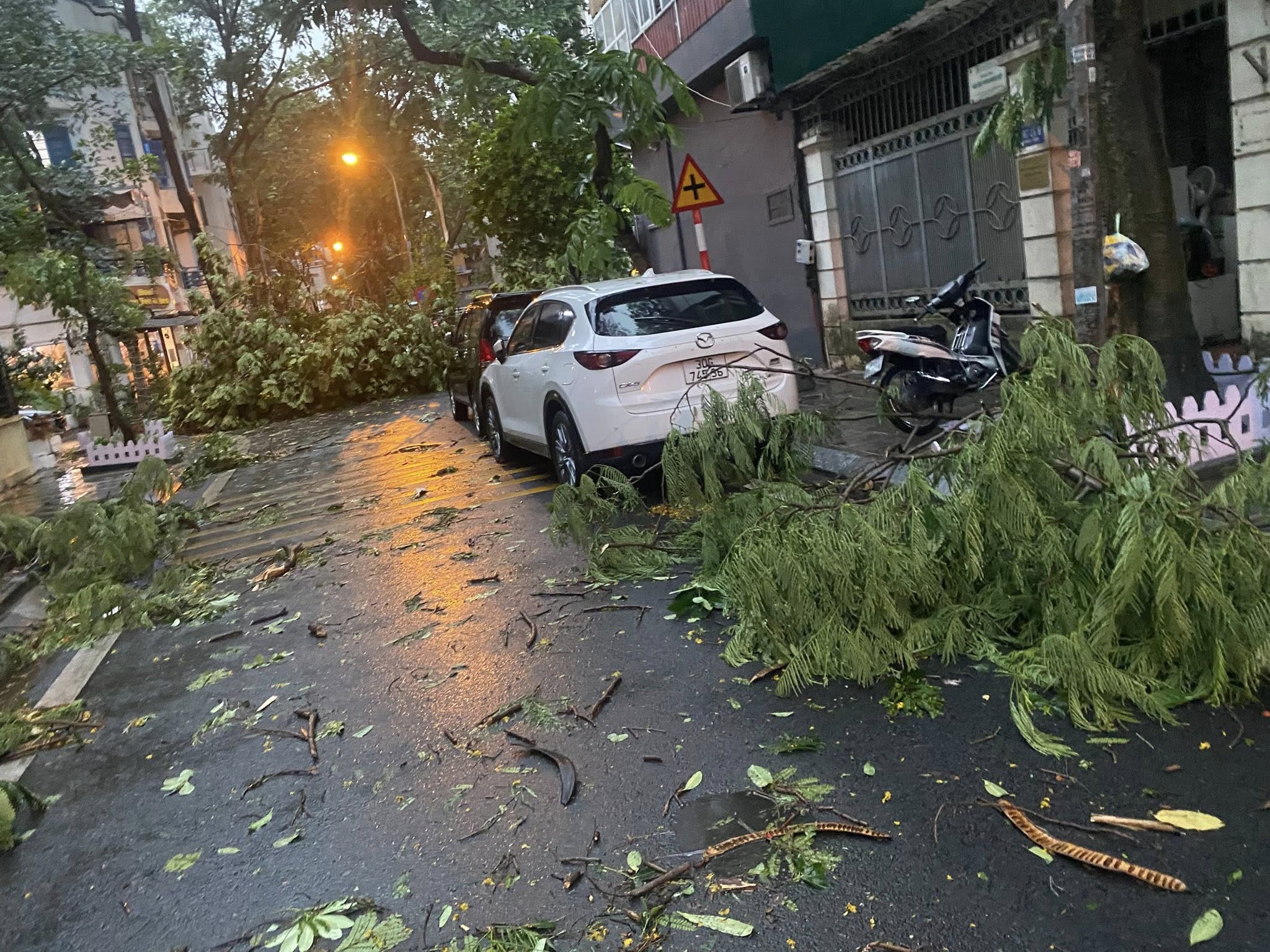 Hà Nội mưa dông mạnh gây thiệt hại nặng , gió thổi bật gốc cây và đổ cột điện - Ảnh 2.