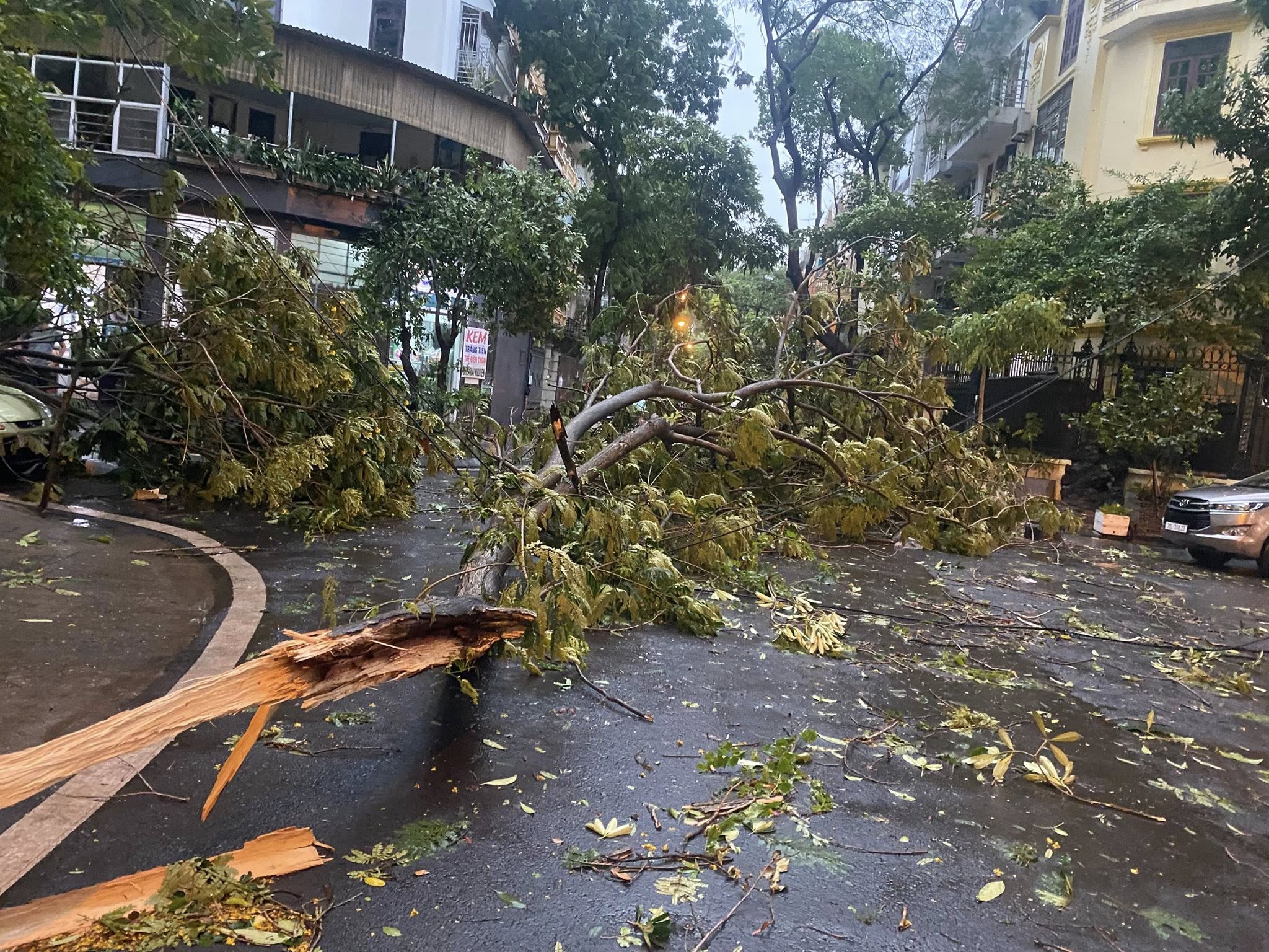 Hà Nội mưa dông mạnh gây thiệt hại nặng , gió thổi bật gốc cây và đổ cột điện - Ảnh 4.