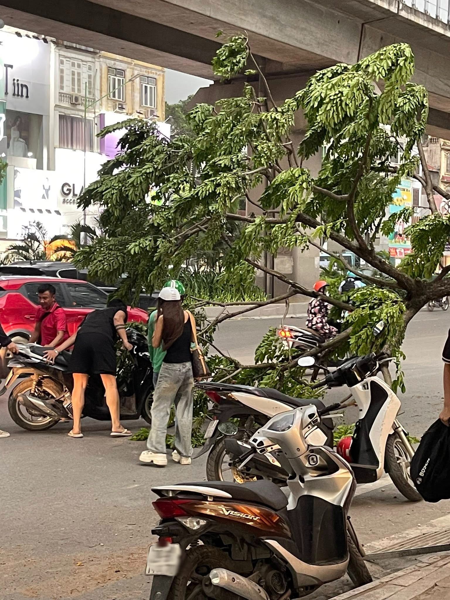 Hà Nội mưa dông mạnh gây thiệt hại nặng , gió thổi bật gốc cây và đổ cột điện - Ảnh 5.
