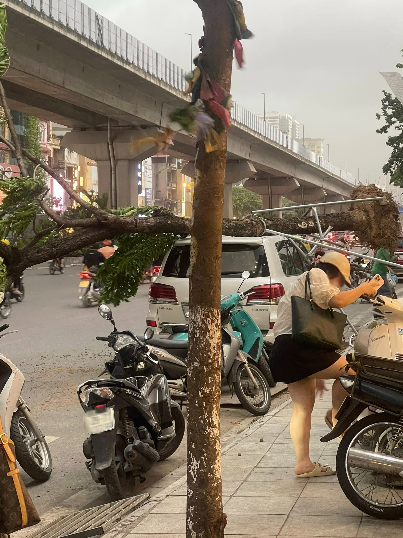 Hà Nội mưa dông mạnh gây thiệt hại nặng , gió thổi bật gốc cây và đổ cột điện - Ảnh 6.