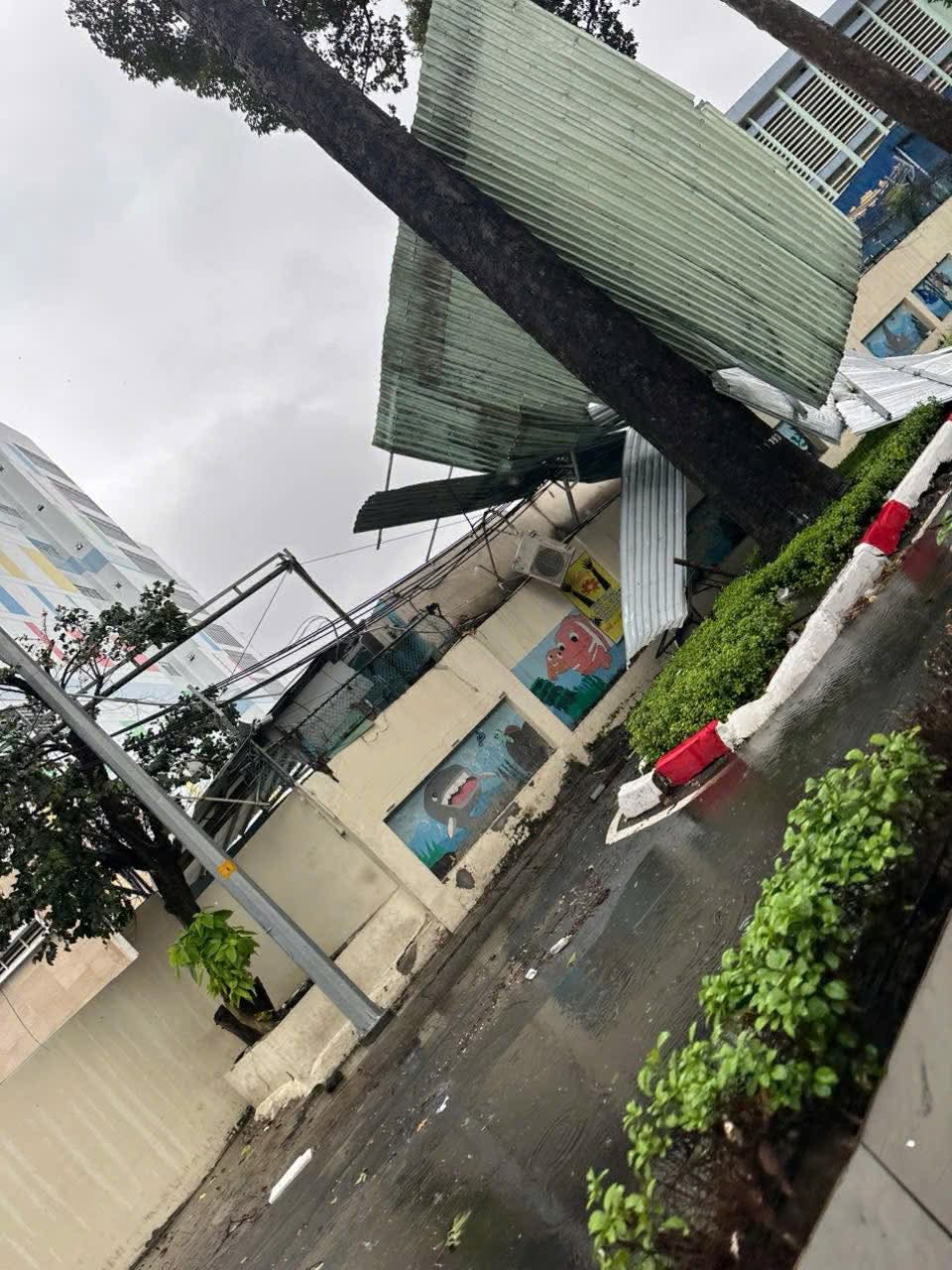 Trưa nay, gi&oacute; lớn ở TP HCM, c&acirc;y xanh ng&atilde; đổ nhiều nơi- Ảnh 4.