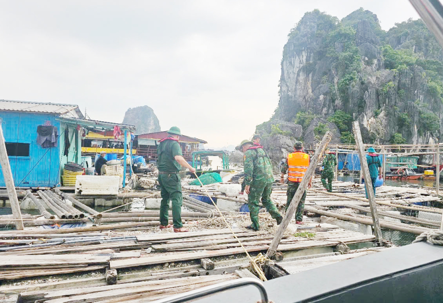 Quảng Ninh k&ecirc;u gọi t&agrave;u thuyền v&agrave;o nơi tr&aacute;nh b&atilde;o- Ảnh 1.