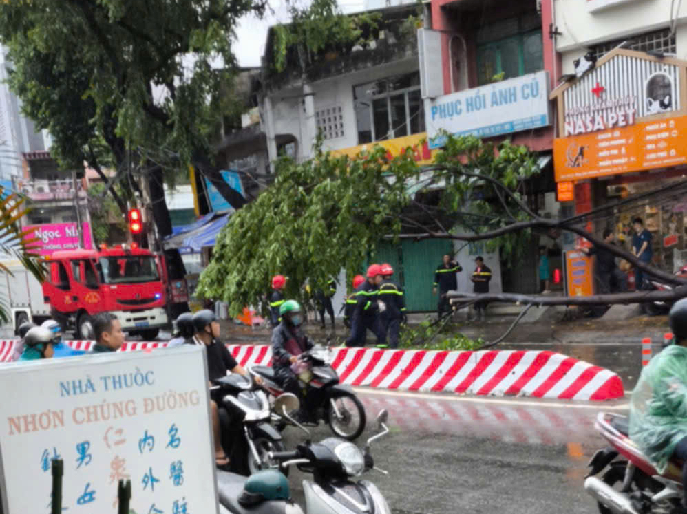 Trưa nay, gió lớn ở TP HCM, cây xanh ngã đổ nhiều nơi- Ảnh 3.