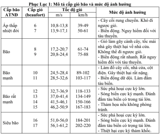 Thời tiết TP HCM hôm nay, 21-7: Có mưa- Ảnh 2.