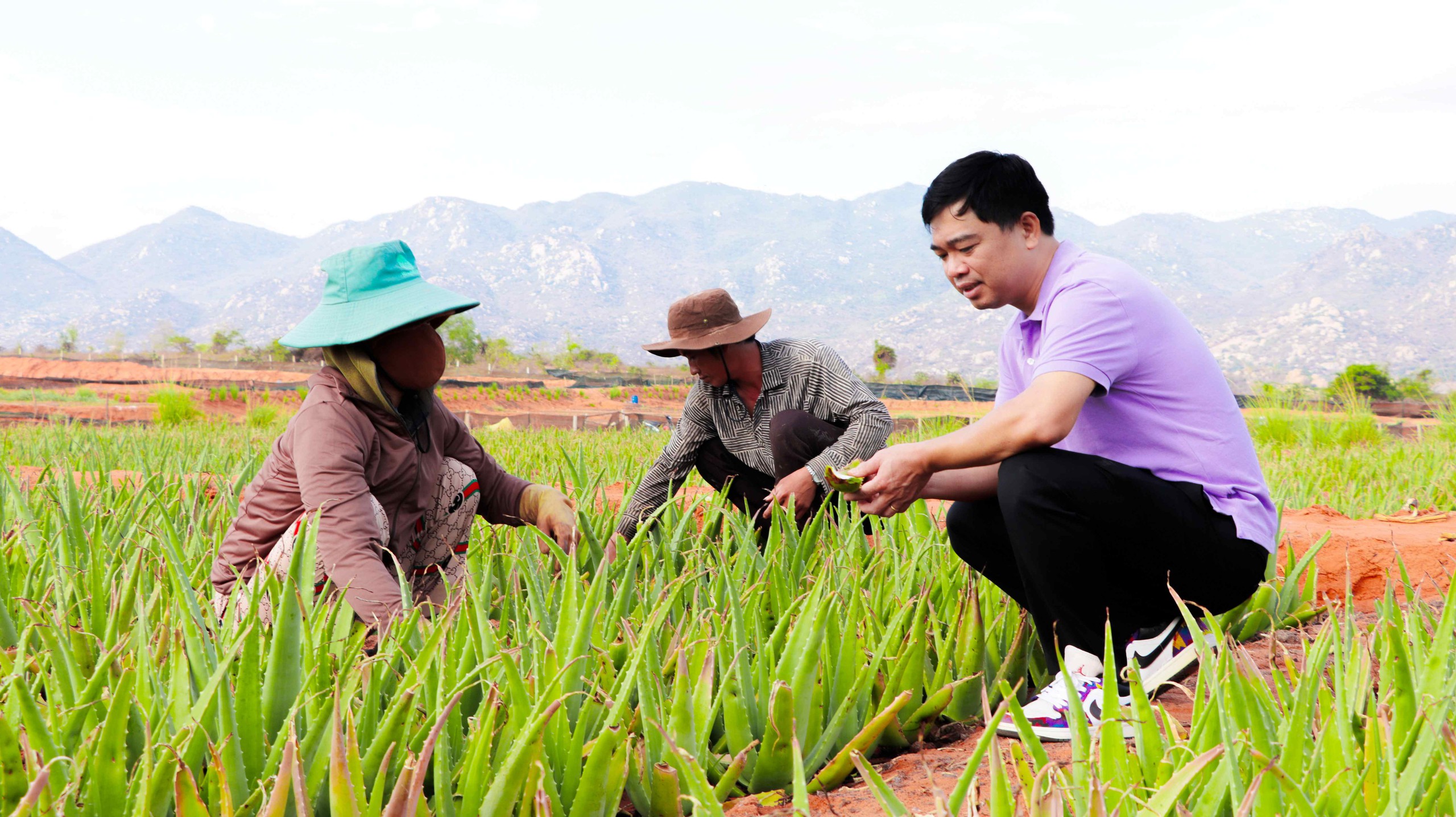 Thạch nha đam &ndash; M&oacute;n ăn của &ldquo;sự tử tế&rdquo;- Ảnh 3.