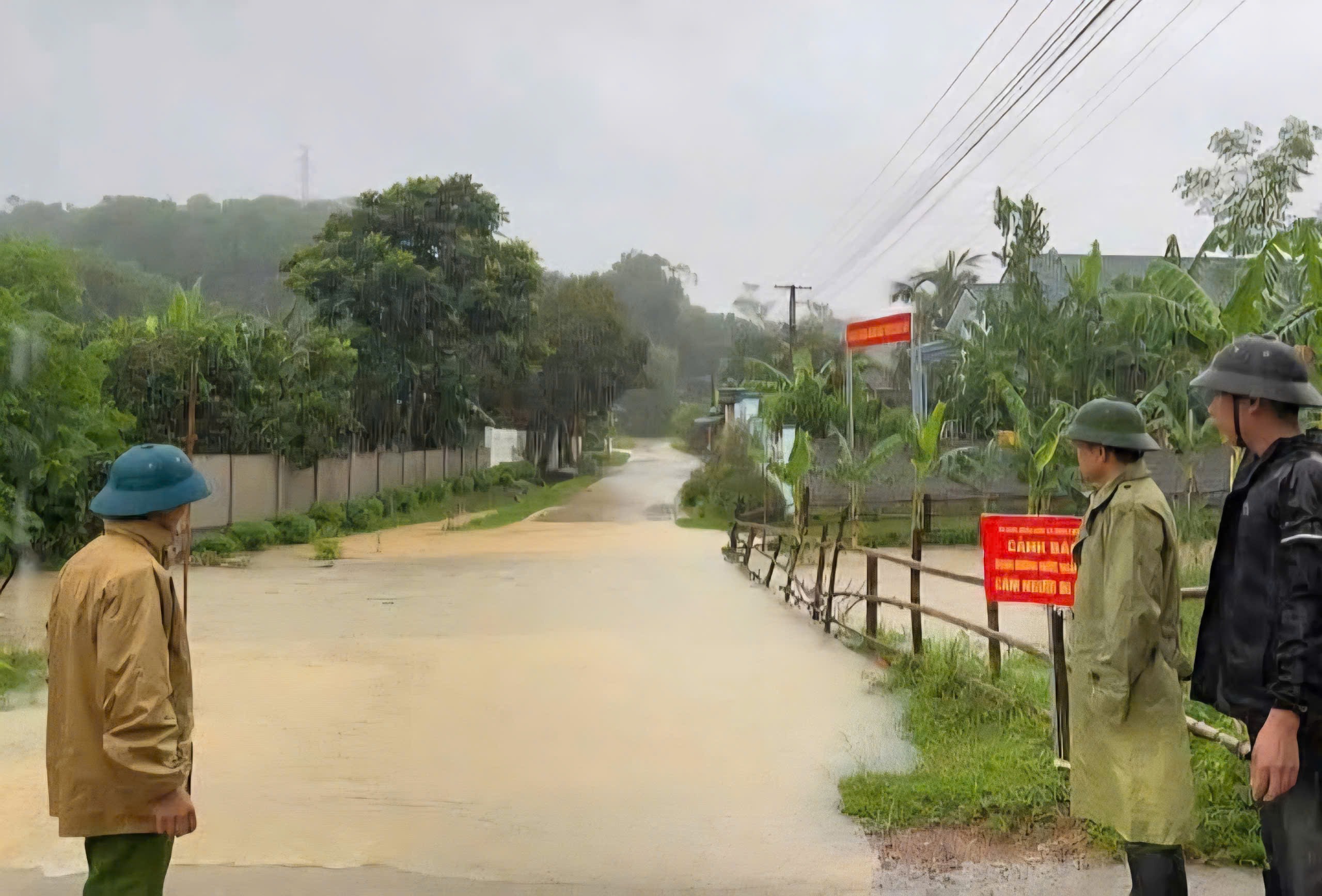 Ban Bí thư chỉ đạo ứng phó với bão số 3 Wipha- Ảnh 1.