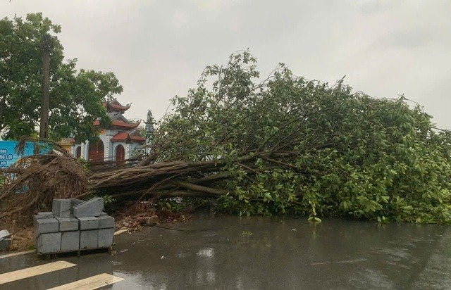 Cảnh b&aacute;o ho&agrave;n lưu b&atilde;o số 3 Wipha g&acirc;y mưa lớn , đe dọa lũ qu&eacute;t v&agrave; sạt lở đất - Ảnh 1.