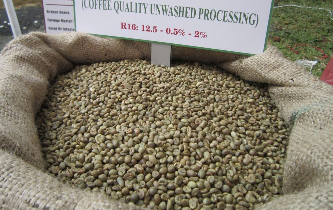 Gi&aacute; c&agrave; ph&ecirc; h&ocirc;m nay 24 - 7: Robusta hồi phục v&agrave; dự b&aacute;o tăng trưởng - Ảnh 1.