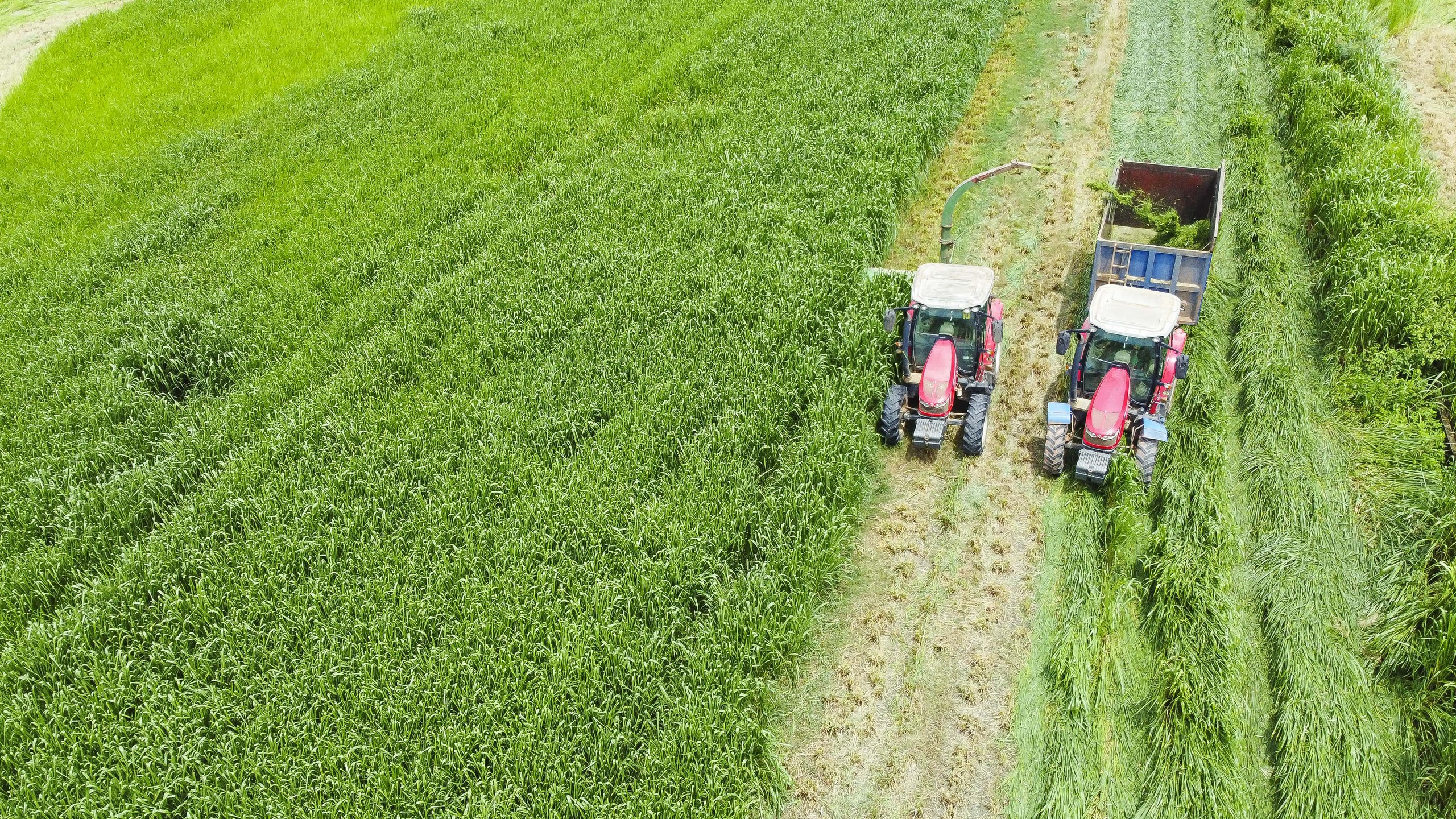 Vinamilk Green Farm dưới lăng kính phát triển bền vững có gì đặc biệt?- Ảnh 3.