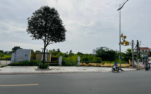 Đồng Nai dự kiến thu hơn 20.000 tỉ đồng từ đấu giá đất