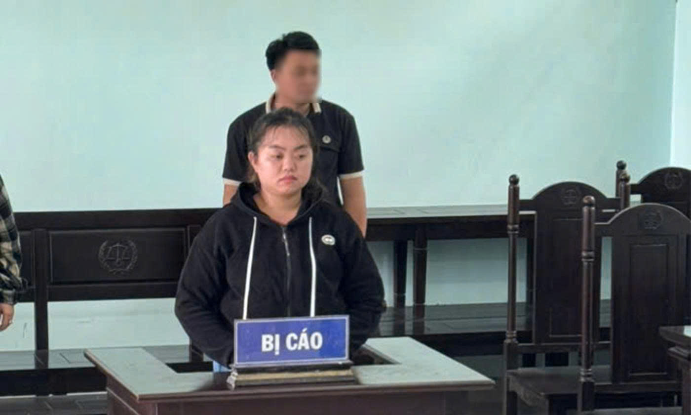 L&yacute; do bảo mẫu h&agrave;nh hạ trẻ em nhưng được hưởng &aacute;n treo- Ảnh 1.