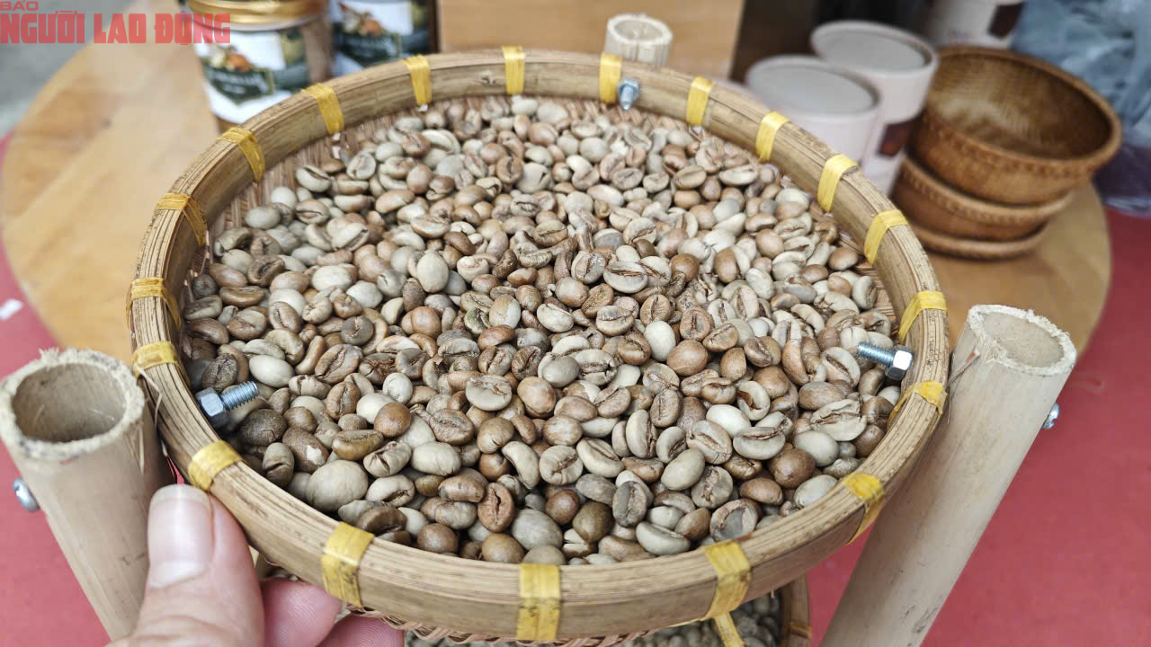 Giá cà phê hôm nay 29-7: Bùng nổ- Ảnh 1.