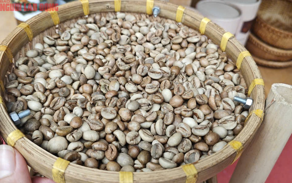 Giá cà phê hôm nay 29-7: Bùng nổ