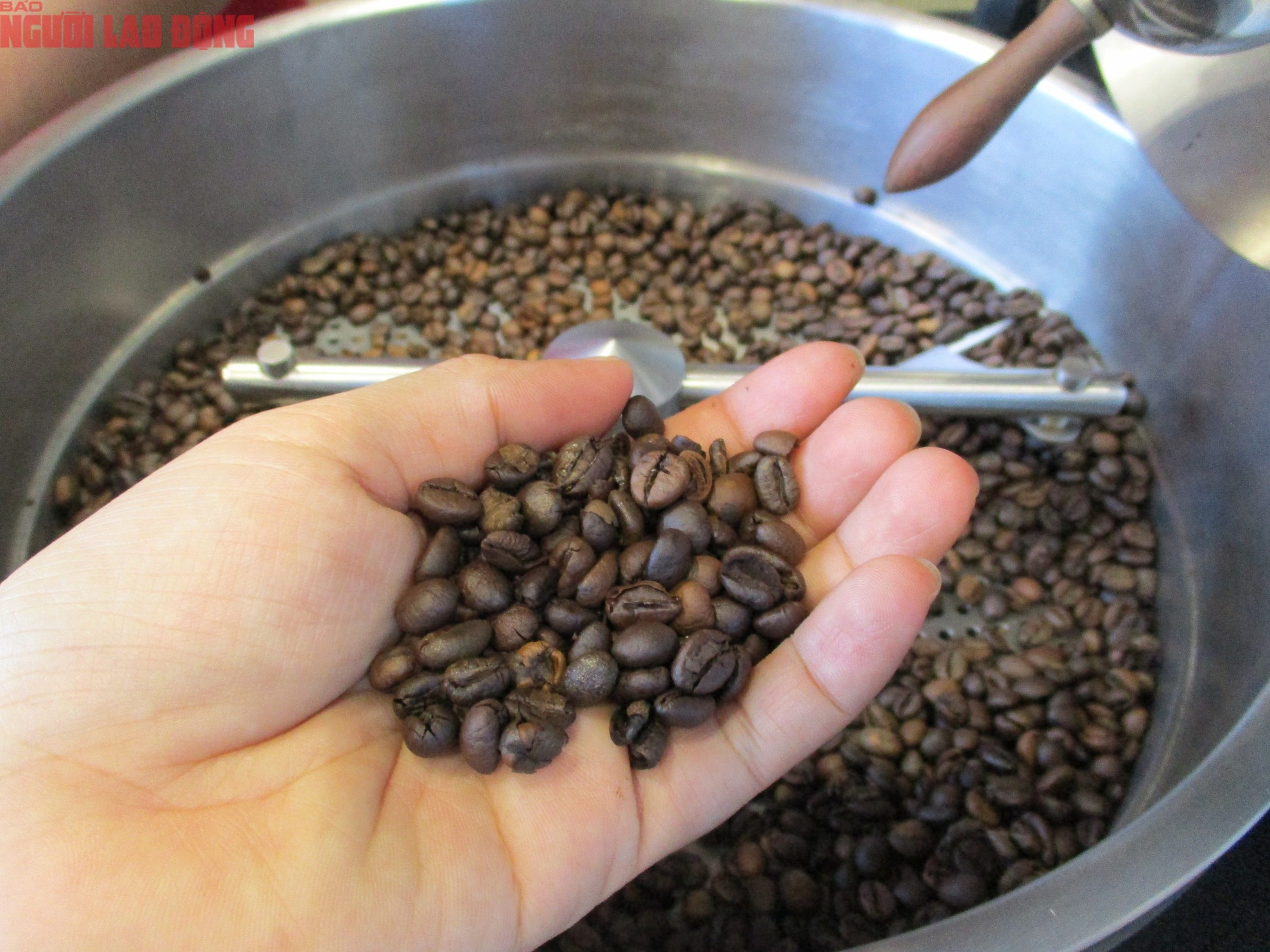 Gi&aacute; c&agrave; ph&ecirc; h&ocirc;m nay 30-7: Robusta tho&aacute;t hiểm- Ảnh 1.