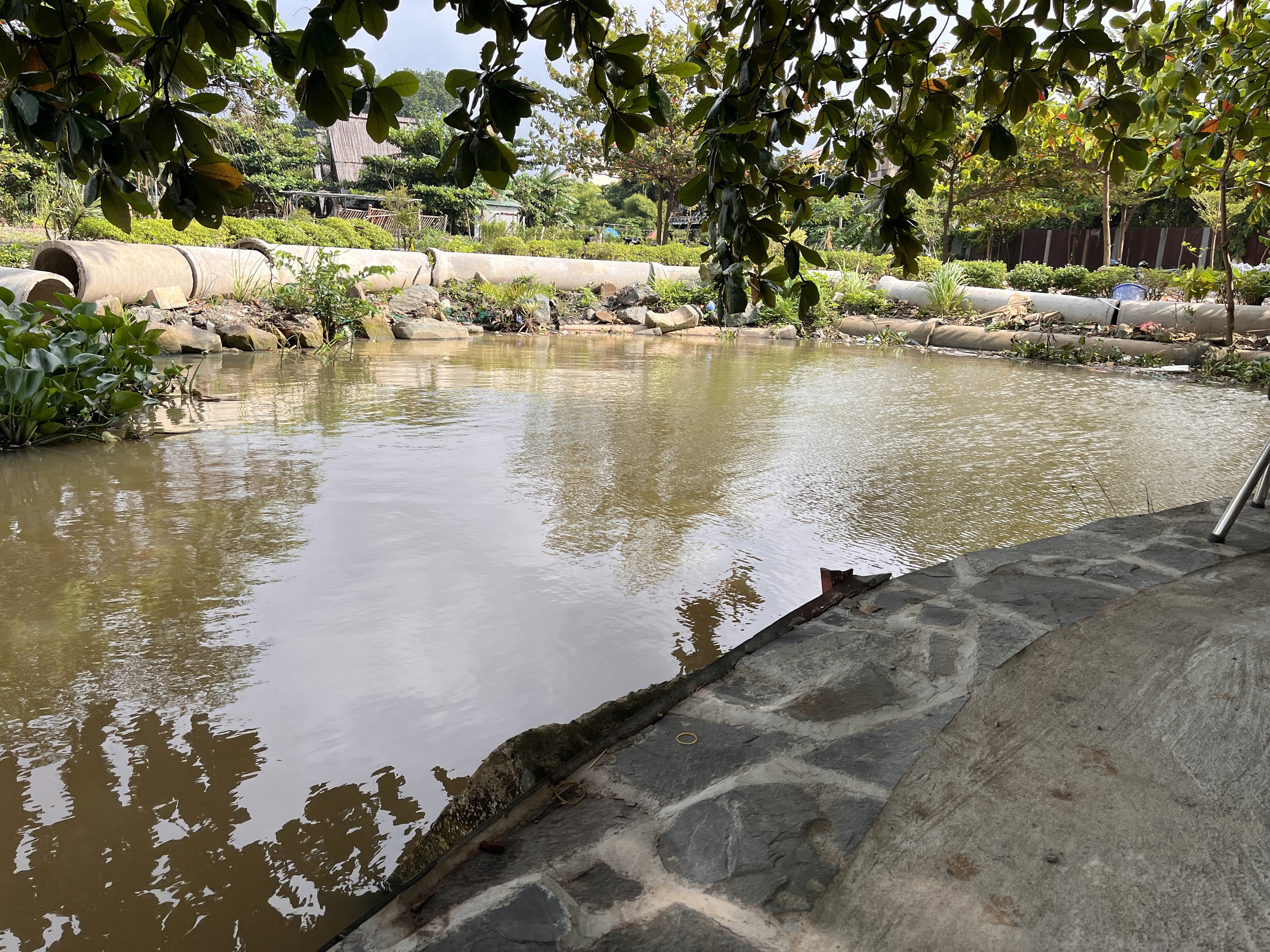 Cận cảnh dự án lấn sông Đồng Nai nằm im hơn 10 năm bị Thanh tra Chính phủ "điểm tên" - Ảnh 11.