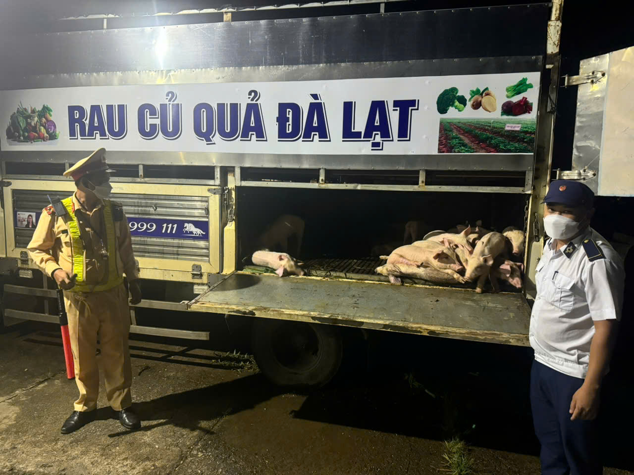 Thông tin bất ngờ về nguồn gốc 97 con heo mắc dịch tả heo châu Phi- Ảnh 1.