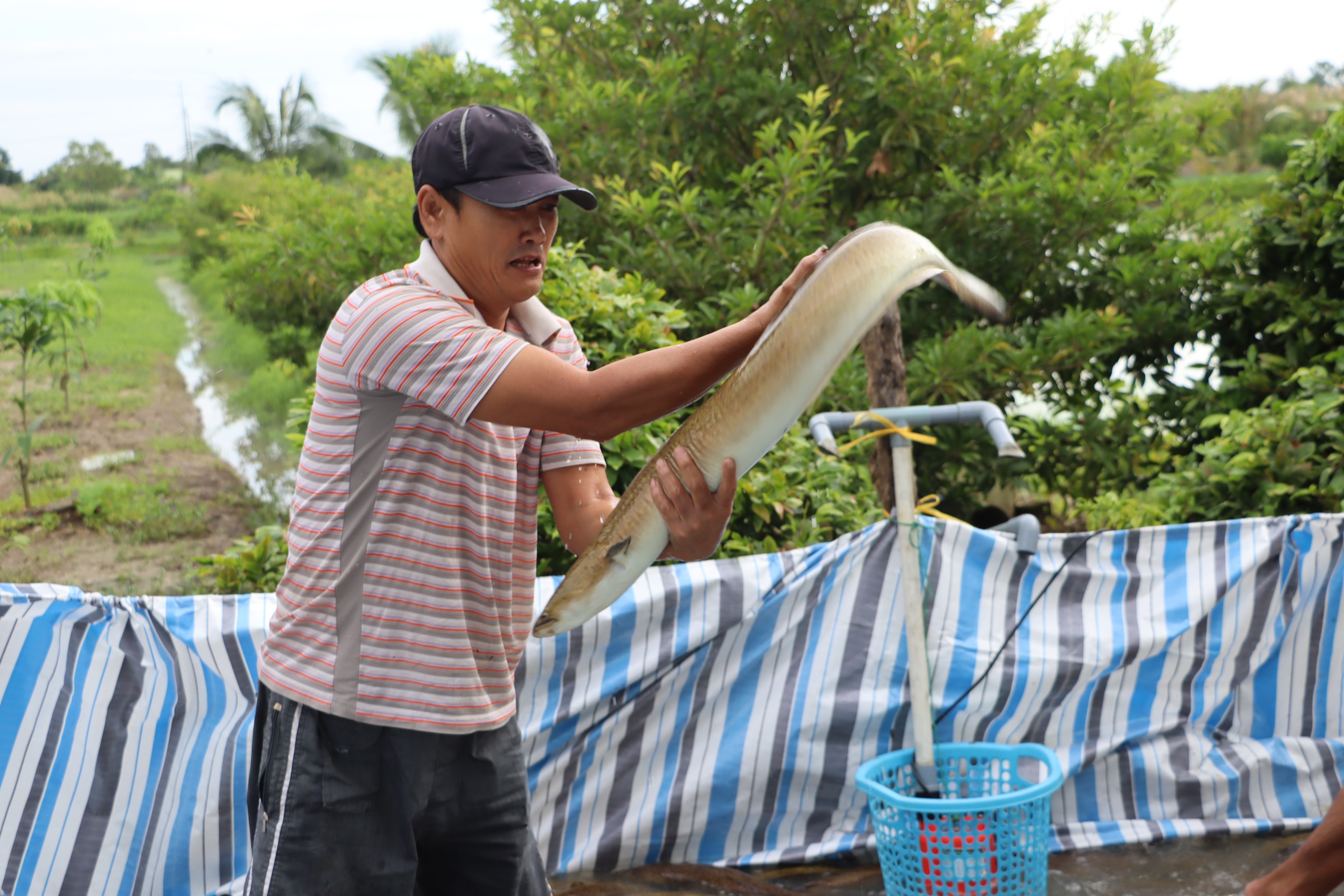 C&agrave; Mau ph&ecirc; duyệt 2 dự &aacute;n quan trọng- Ảnh 1.