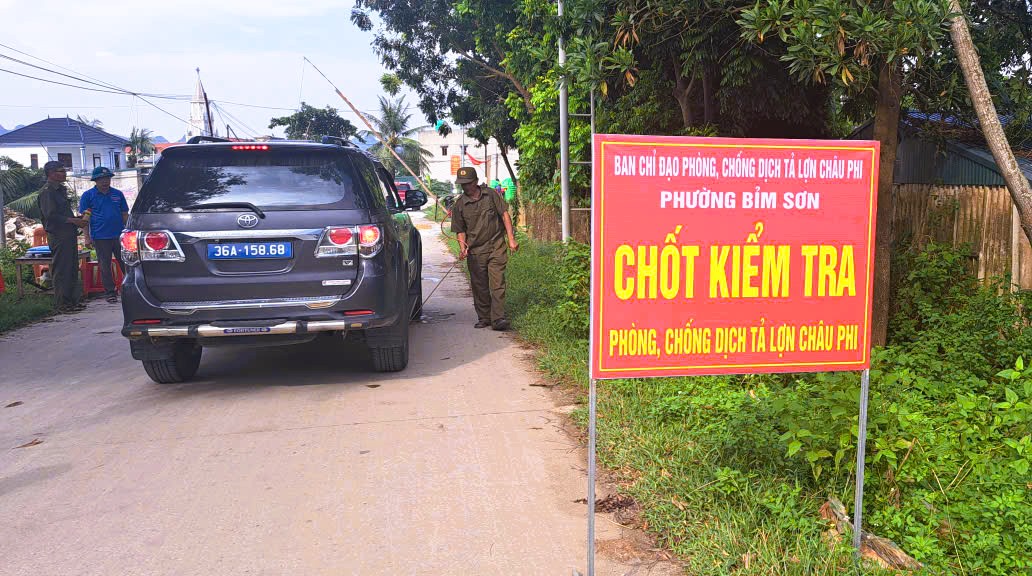 Ti&ecirc;u hủy gần 7.000 con heo mắc dịch tả heo ch&acirc;u Phi- Ảnh 2.