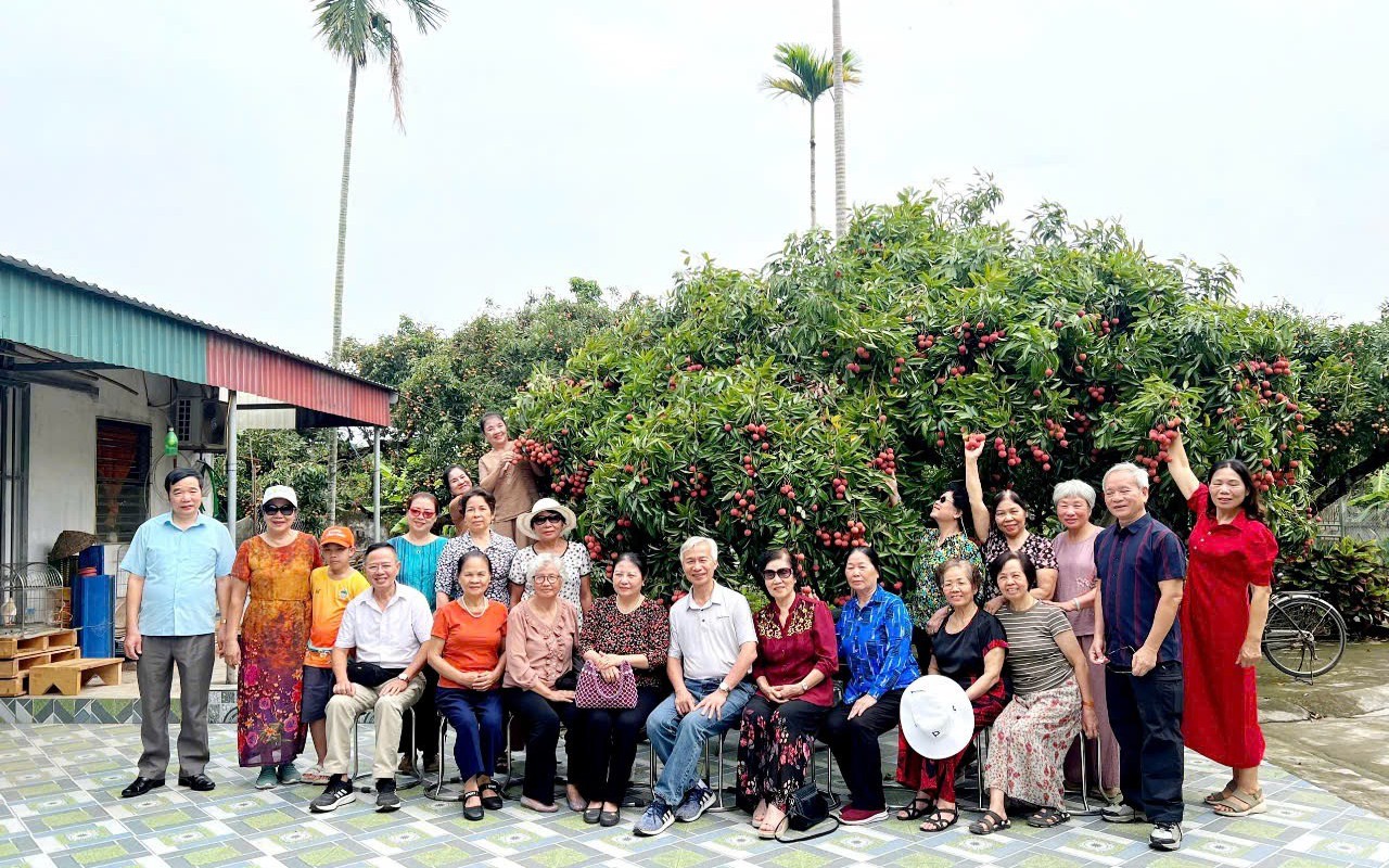 Khi &ocirc;ng b&agrave; chọn sống cho m&igrave;nh  - Ảnh 3.