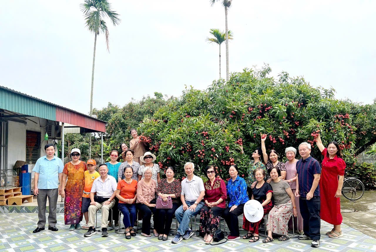 Tuổi già sống vui, sống khỏe - Ảnh 1.