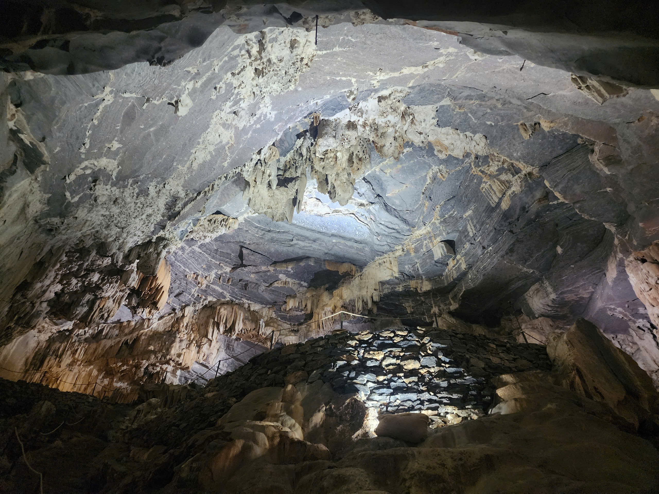 - Ảnh 8.