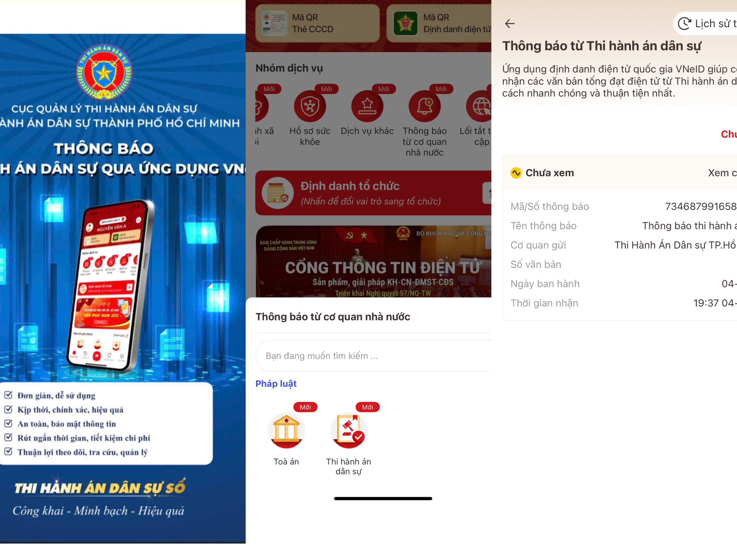 Ông Nguyễn Văn Hoà làm Trưởng THADS TP HCM- Ảnh 1.