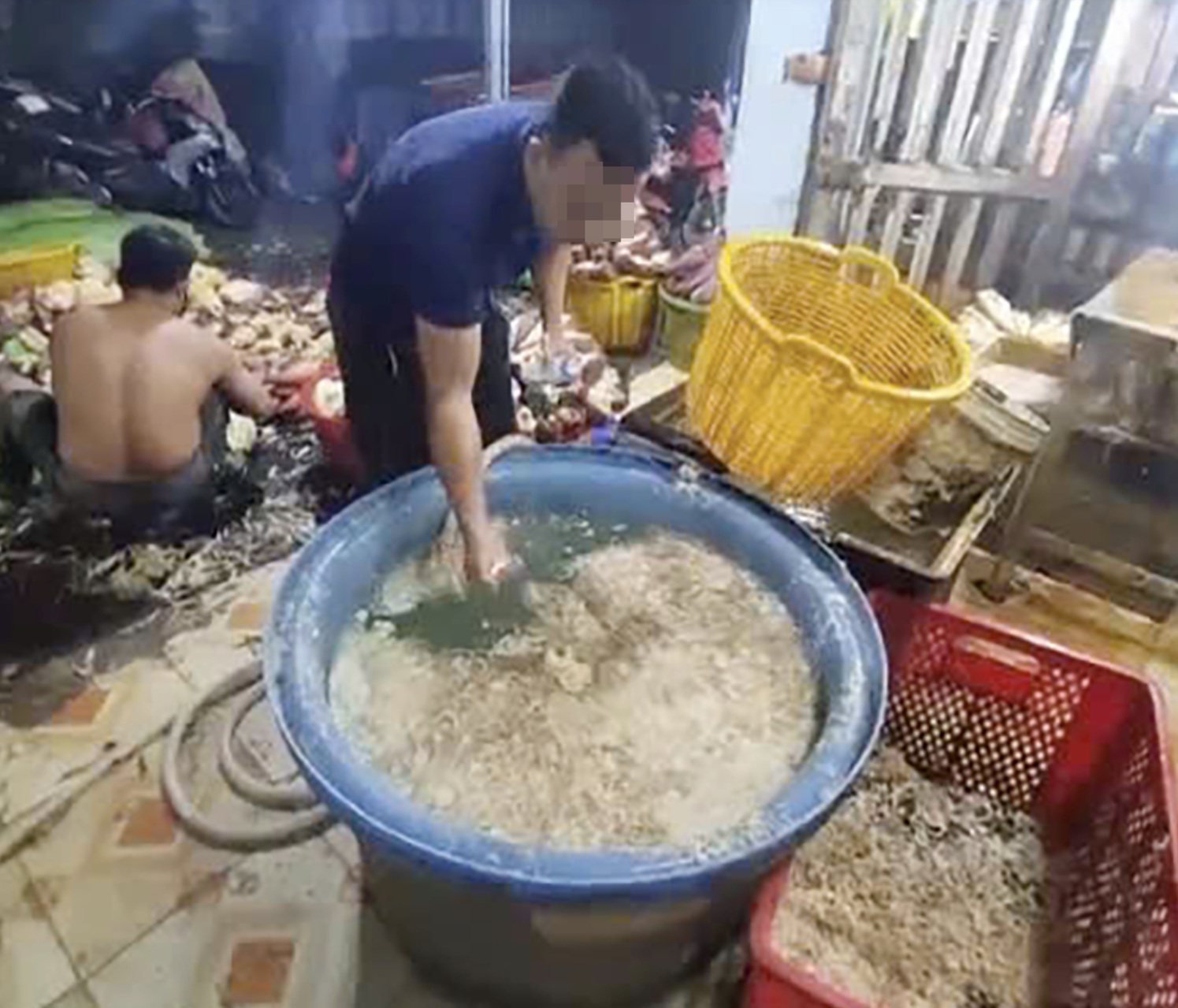 - Ảnh 1.