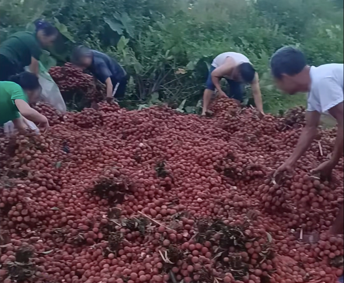 Xe tải gặp nạn, 4 tấn vải "biến mất" trong đêm- Ảnh 1.