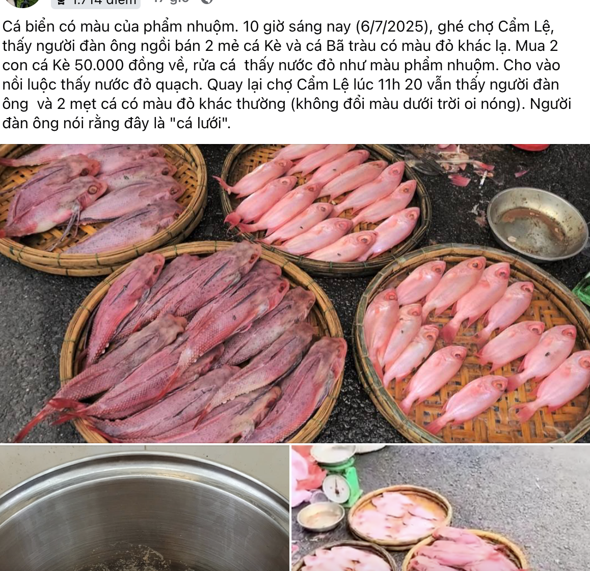 Cá biển đổi màu đỏ tại chợ Đà Nẵng: Tiểu thương giải thích hiện tượng kỳ lạ - Ảnh 1.